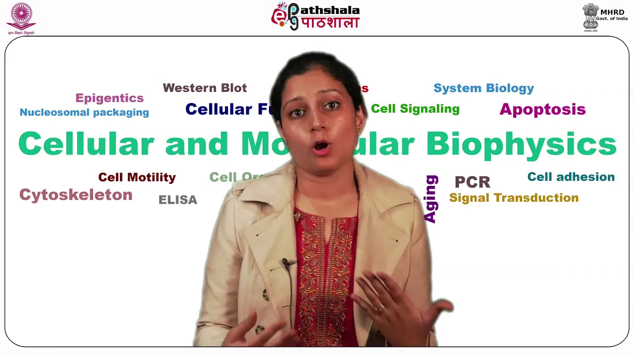 Cell motility and cancer