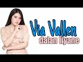 Download Lagu Via Vallen dalan liyane lirik