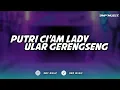 Download Lagu DJ PUTRI CI'AM LADY X ULAR GERENGSENG TERBARU 2025
