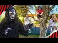 Download Lagu CADA MACACO NO SEU GALHO! - Desafio