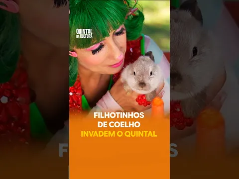 #Shorts | "Quintal da Cultura": filhotinhos de coelho invadem o quintal
