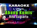 Download Lagu Abang Kumis - Rita Sugiarto Karaoke Tanpa Vokal