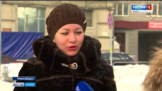 Новосибирский медведь произвел фурор в социальных сетях
