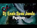 Download Lagu DJ DISITU ENAK SUSU JANDA X PAPEPAP FULL BASS SANTUY REMIX TIK TOK VIRAL TERBARU 2021