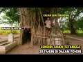 Download Lagu RUMAH UNIK DAN LANGKA 20 TAHUN TINGGAL DI DALAM POHON BERDAMPINGAN DENGAN KUBURAN