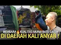 Lagu TERCIDUK ! TERNYATA MURAH BEGINI GACORAN MURAI BATU BERKUALITAS DI KALI ANYAR JAKARTA BARAT 