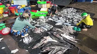 Cảnh tượng chợ Bình Điền cá biển xổ rẻ 30k/ 1 kí khiến ai cũng chen nhau mua 