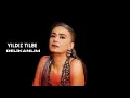 Download Lagu Yıldız Tilbe - Delikanlım