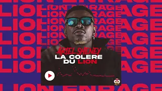 Download ARIEL SHENEY -   LA COLÈRE DU LION MP3
