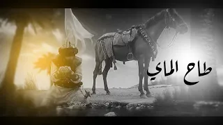 حماسية طاح الماي جديد الرادود محمد منصور السماوي كلمات بشار السامي محرم 1441  حماسية طاح الماي جديد الرادود محمد منصور السماوي كلمات بشار السامي محرم 1441