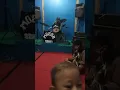 Download Lagu kelakuan anak ini waktu di setudio dengerin lagu Boomerang kehadiranmu bikin..?