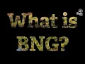 What is Biodiversity Net Gain