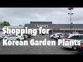 Ep 14 Shopping for Korean Garden Plants KMarket HMart