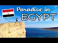I FOUND PARADISE IN EGYPT South Sinai Adventures Part 1 Travel Vlog
