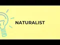 What is the meaning of the word NATURALIST