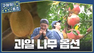 [구해줘! 홈즈] 귀한 과일이 집 기본 옵션?! 키위X석류X머루가 한가득🥝, MBC 261015 방송