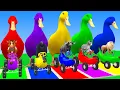 Download Lagu Long Slide Game With Cow Elephant Gorilla Hippopotamus Tiger 3d Animal Game Funny 3d Animals