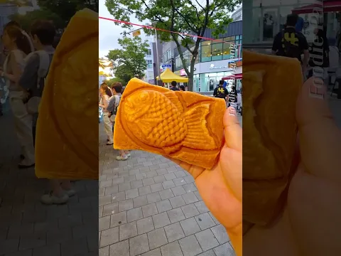 24겹의 바삭한 페스츄리! 강릉 크로와상 붕어빵