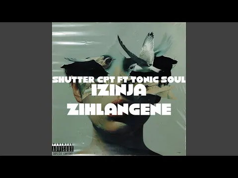 Download MP3 Izinja Zihlangene