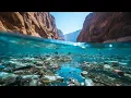 Eutrophication What s Killing Aquatic Life