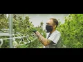 SWEETWATER Fine Cannabis Products - A Fluent Cannabis Brand