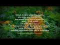 Download Lagu Syaikhona_(aikhodijah)_story wa