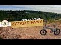 Trail Ride at Citrus WMA