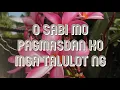 Kalachuchi by Munimuni lyrics
