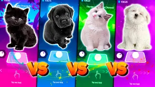 Download CUTE CAT VS CUTE DOG ENEMY VS CUTE CAT THUNDER VS CUTE DOG AQUA BARBIE GIRL VS TILES HOP EDM RUSH MP3