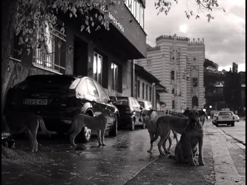 Filmmuseum-Trailer: "Faith" (Lav Diaz, 2024)