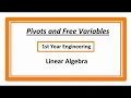 PIVOTS AND FREE VARIABLES
