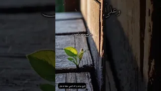 وصلى الله وسلم وبارك على نبينا محمد الشيخ عبدالله بن محمد النجمي حفظه الله تعالى  وصلى الله وسلم وبارك على نبينا محمد الشيخ عبدالله بن محمد النجمي حفظه الله تعالى