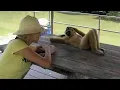 Download Lagu Animals Never Fail To Make Us Laugh 🤣 Funny ANIMALS Video 2025