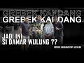 Download Lagu #grebekkandang - OH JADI INI SI DAMAR WULUNG?? ADA SI JENDRAL JUGA??