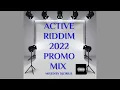 ACTIVE RIDDIM 2022 DANCEHALL PROMO MIX | KARTEL,SHANELL,JAFRASS,SQUASH,SHAKA,CARLOS,XSOMO,SILKBOSS