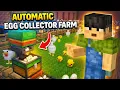 An automatic egg collector farm