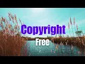 Download Lagu Free No Copyright Music 2025 | Free Background Music 