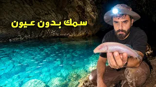 اكتشاف أرض مخسوفة تحتوي على اسماك عمياء Eyeless fish 🇮🇶 