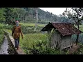 Download Lagu Hidup di Desa, Menginap dirumah warga dan mengikuti aktivitas pagi ke sawah yang indah