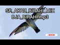 Download Lagu sp Akau biarahi mix bja birahi