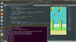 Flapping Bird game using PYTHON Spacequora