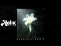 Netsky & Bebe Rexha - Light That Leads Me (Subsonic Remix) [Visualizer] [Helix Records]