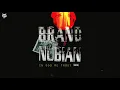 Brand Nubian - Punks Jump Up to Get Beat Down