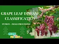 Python Image Processing - Grape Leaf Disease Classification