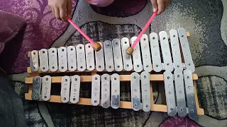 عزف اغنية رايحين شايلين في ايدنا سلاح على الاكسيليفون دندنها