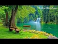 Musik Penghilang Stres untuk Tidur 🌿 Suara Penyembuhan Lembut yang Menenangkan Pikiran