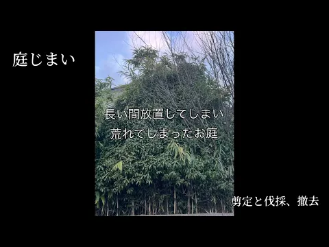 庭木の伐採・抜根｜安全作業・庭じまい対応・作業動画あり◎