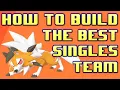 How to Build the BEST Singles Team Building Guide Pokemon Sword and Shield Competitive Crown Tundra