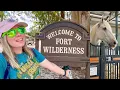 BIG CHANGES at Disney s Fort Wilderness Campground Horses at Tri-Circle-D Ranch Boat Ride More