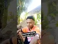 Download Lagu Papua logat Sunda ✔